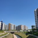 라인행정사 이미지