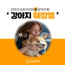 형곡동물병원 이미지