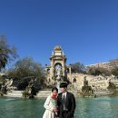 언제나 | 📸바르셀로나 스냅 '언제나 스냅' 촬영 후기