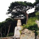 대조사 - 1400 | 대조사