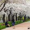 송정제방 이미지