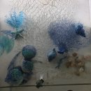 성공목장 이미지