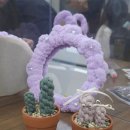 매듭 초급 | [2026]마음을 포근하게 만든 마크라메 거울, 식물 단체 수업 후기, 경기광주 매듭 전문공방 프롬104