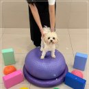 부산진유치원 이미지