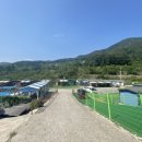 애견동반 멍멍아노올자 이미지