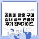 올바른골프연습장 | 골린이 탈출 구미 실내 골프 연습장 후기 완벽가이드