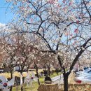 우곡식당 이미지