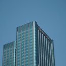 정도가설 이미지