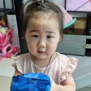 미스터팽