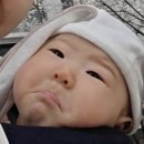 백일한의원 | 90-100일 | 아니 벌써 백일이라고요?!🌸🥨💫🍒💓