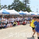 부여초등학교 이미지