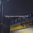 보성발전기