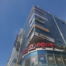 대전 둔산동 고양이 카페 냥다방. 여자친구와 이색데이트로 가볼만한 곳 추천
