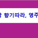 경북영주 풍기인삼축제 이미지