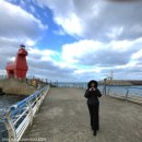 등대바다 | 제주도 겨울여행 코스 추천 🌊 오설록부터 등대 바다까지 솔직 후기