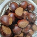 용복농장 이미지