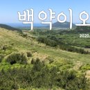 하도바다 이미지