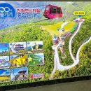 문경단산관광모노레일(하부승강장) 이미지
