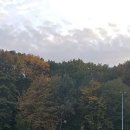 유스더식 이미지