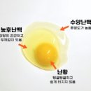 (주)대라반도체 | 四字成語 총정리 <ㄴ> 216 농혈부지~농후비료