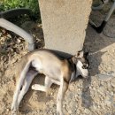 용연낚시터 이미지