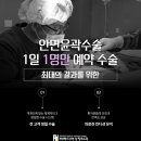 파라디아성형외과의원 네이버블로그