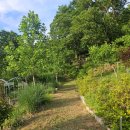 보수농장 이미지