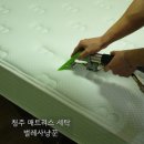 청주 매트리스 청소 &#39;벌레사냥꾼&#39;, 새해 맞이 소파 매트리스 세탁 후기