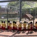 서강어린이집 이미지