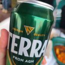 THE MOTORS 이미지