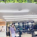 미르오름 이미지