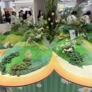 2018 전시 테크니션 교육 프로그램 | 2026 청주 가드닝 페스티벌 정보ㅣ커넥트현대 청주[정원사의 초대] 팝업 후기