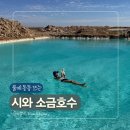[여자혼자 이집트여행] 시와 소금호수 후기 | 준비물 수영복 꿀팁 총정리