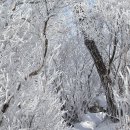 5월25일 141회차 정기산행 가평 축령산879m 이미지