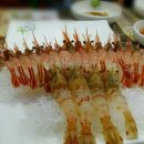 독도회 이미지