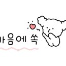로젤리스냅 이미지