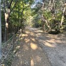 좌동산책길 이미지