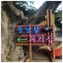 애월돌담길
