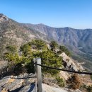 와룡산(민재봉) Daum카페