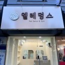 엘레멍스 이미지