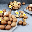 대용농장 이미지