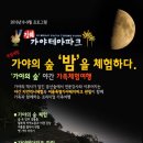 ＜야간체험＞특별프로그램 가야의 숲 '밤'을 체험하다. 숲체험+가야테마파크 빛 축제-자연과사람들 이미지