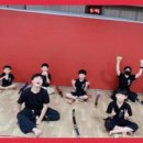 대호 합기도, 해동검도 이미지