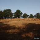 고성리-3 이미지