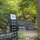 836 | 북한산 등산 후기. 836m 백운대코스 오르고 궁전회관 먹으면? 궁전으로 갈 수도 있어~ ~