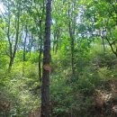 불로약수터 이미지