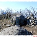 방주농장 이미지