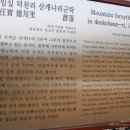 임실성미산성 이미지