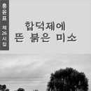 미소전자