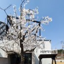 엔제리너스커피익산미륵산점